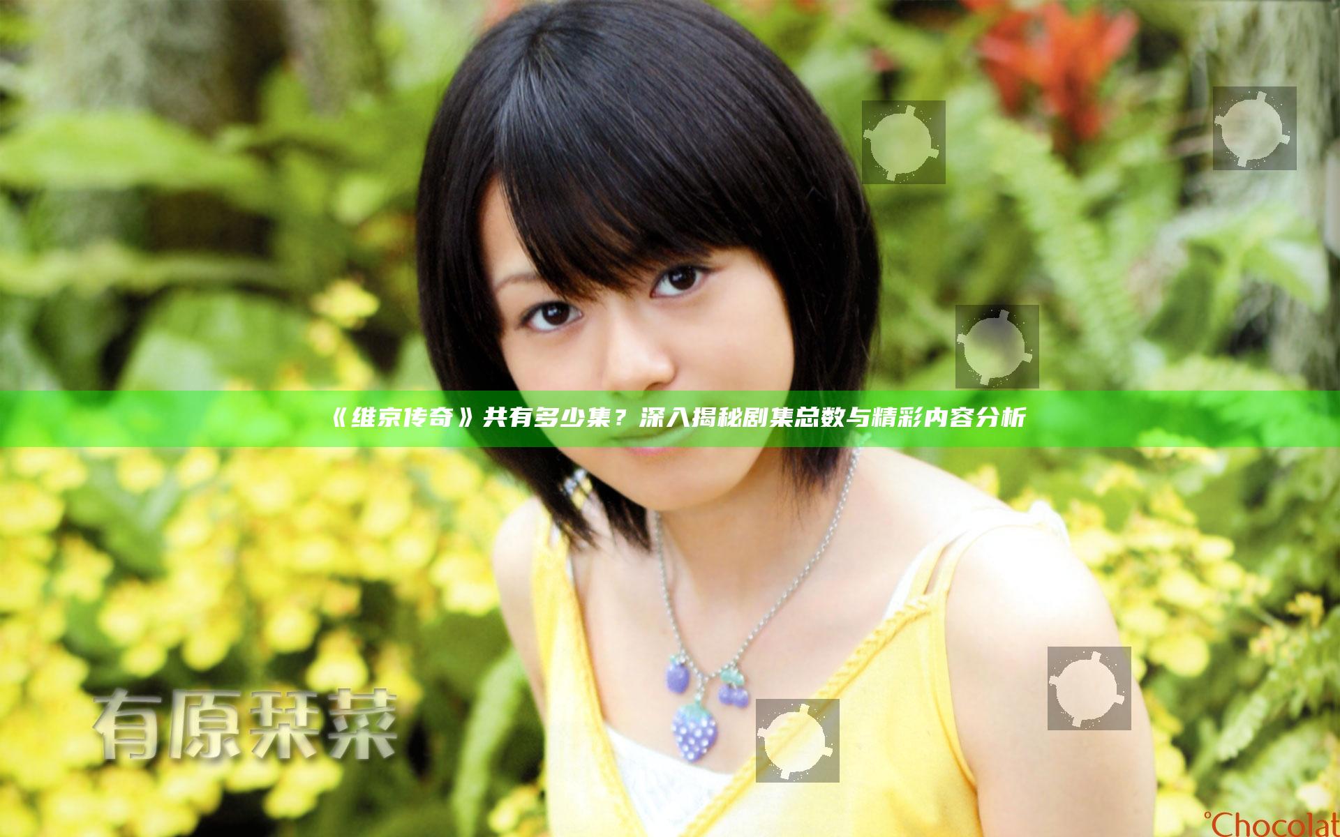 《维京传奇》共有多少集？ 深入揭秘剧集总数与精彩内容分析