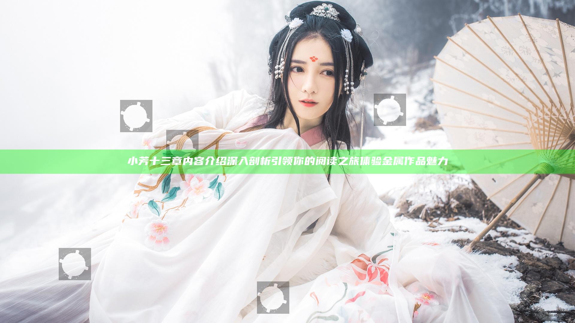 小芳十三章内容介绍深入剖析引领你的阅读之旅体验金属作品魅力