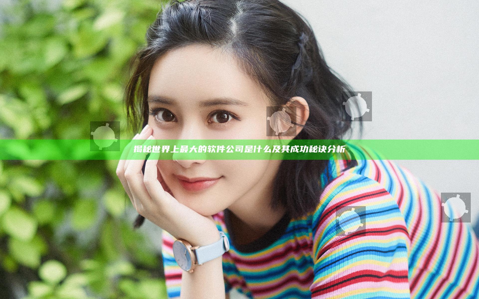 揭秘世界上最大的软件公司是什么及其成功秘诀分析