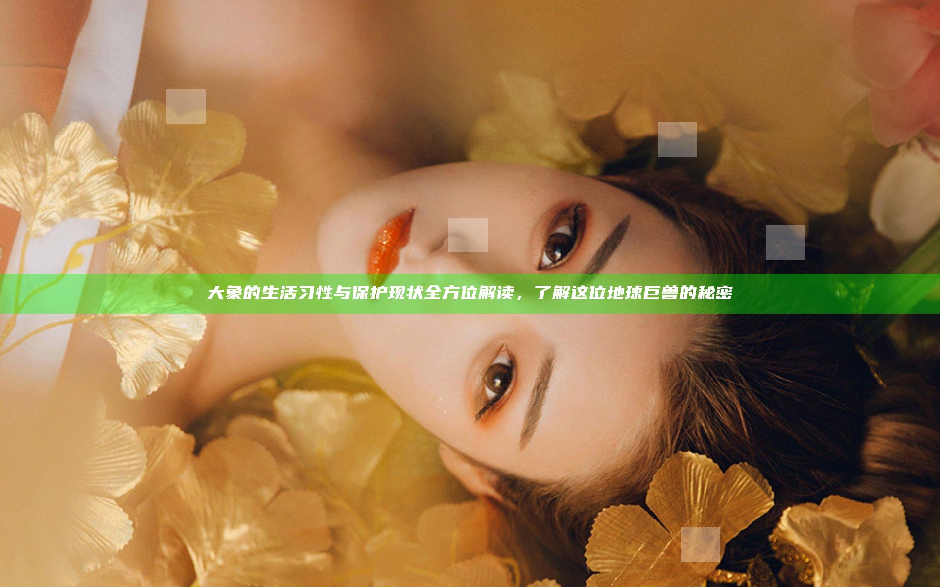 大象的生活习性与保护现状全方位解读，了解这位地球巨兽的秘密