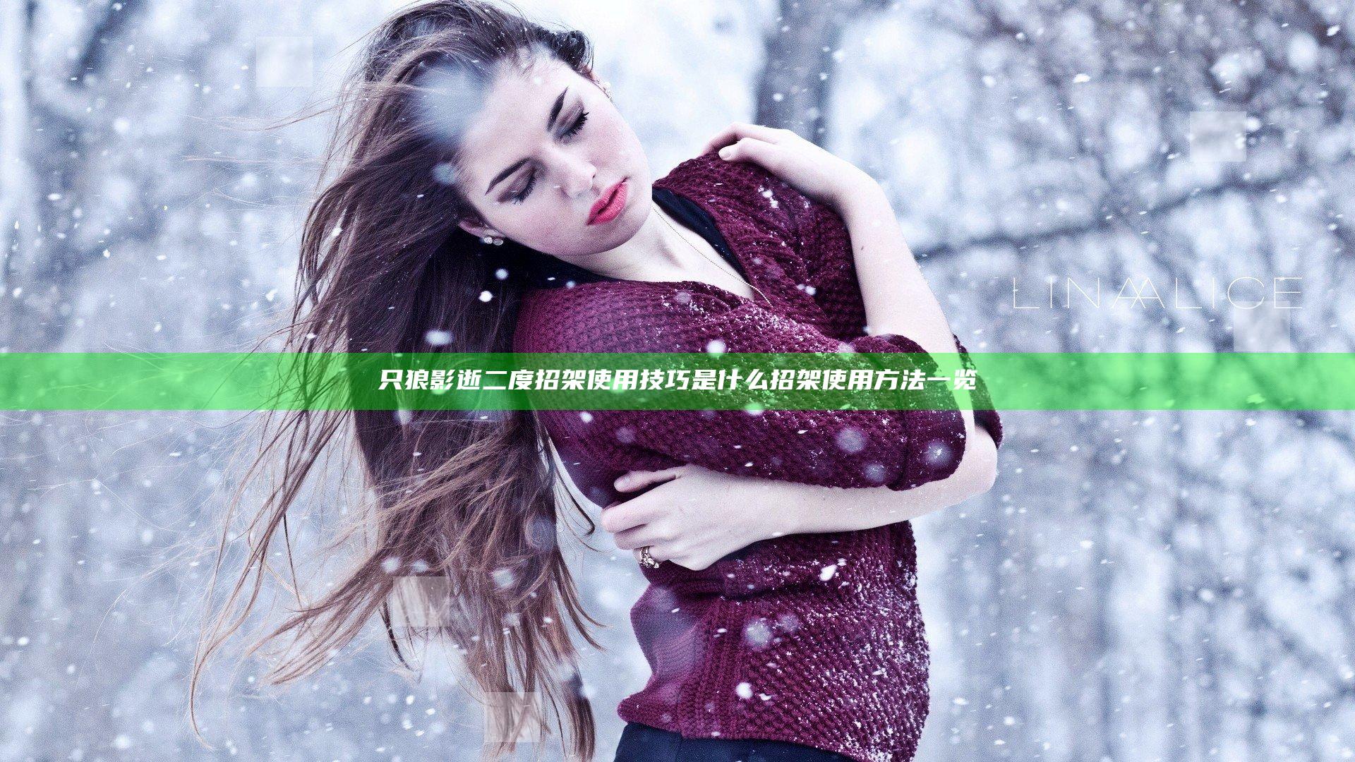 只狼影逝二度招架使用技巧是什么 招架使用方法一览