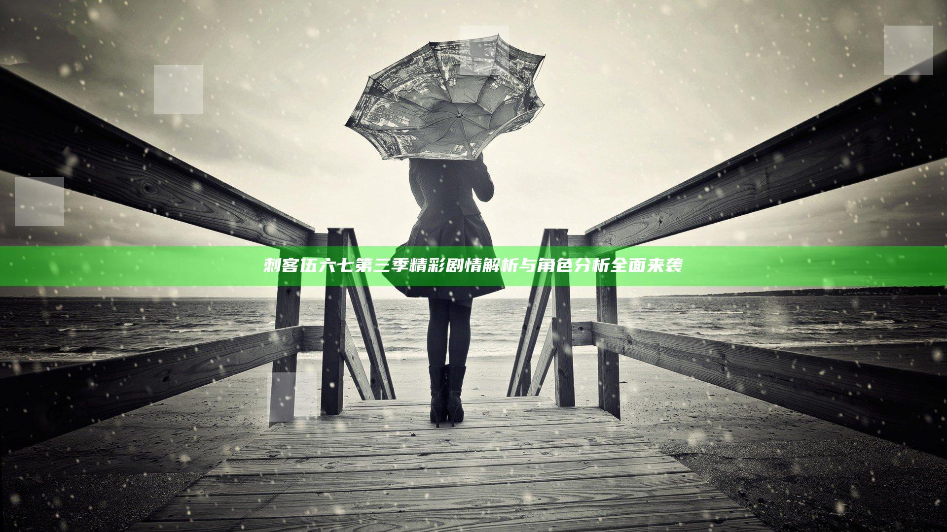 刺客伍六七第三季精彩剧情解析与角色分析全面来袭