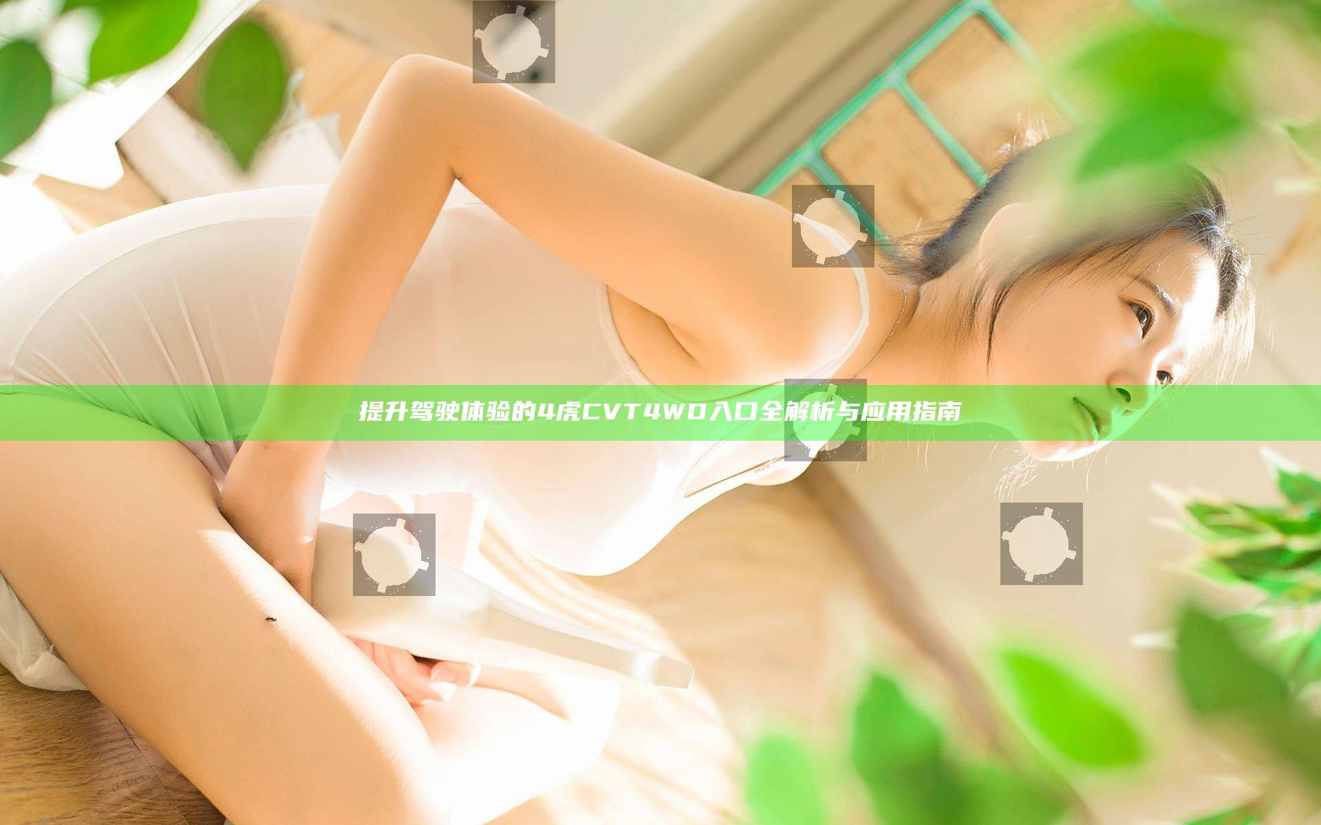 提升驾驶体验的4虎CVT4WD入口全解析与应用指南